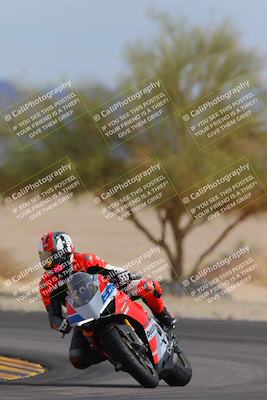 media/Nov-05-2022-SoCal Trackdays (Sat) [[f8d9b725ab]]/Turn 4 Tree of Life (125pm)/